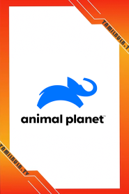 Animal Planet HD